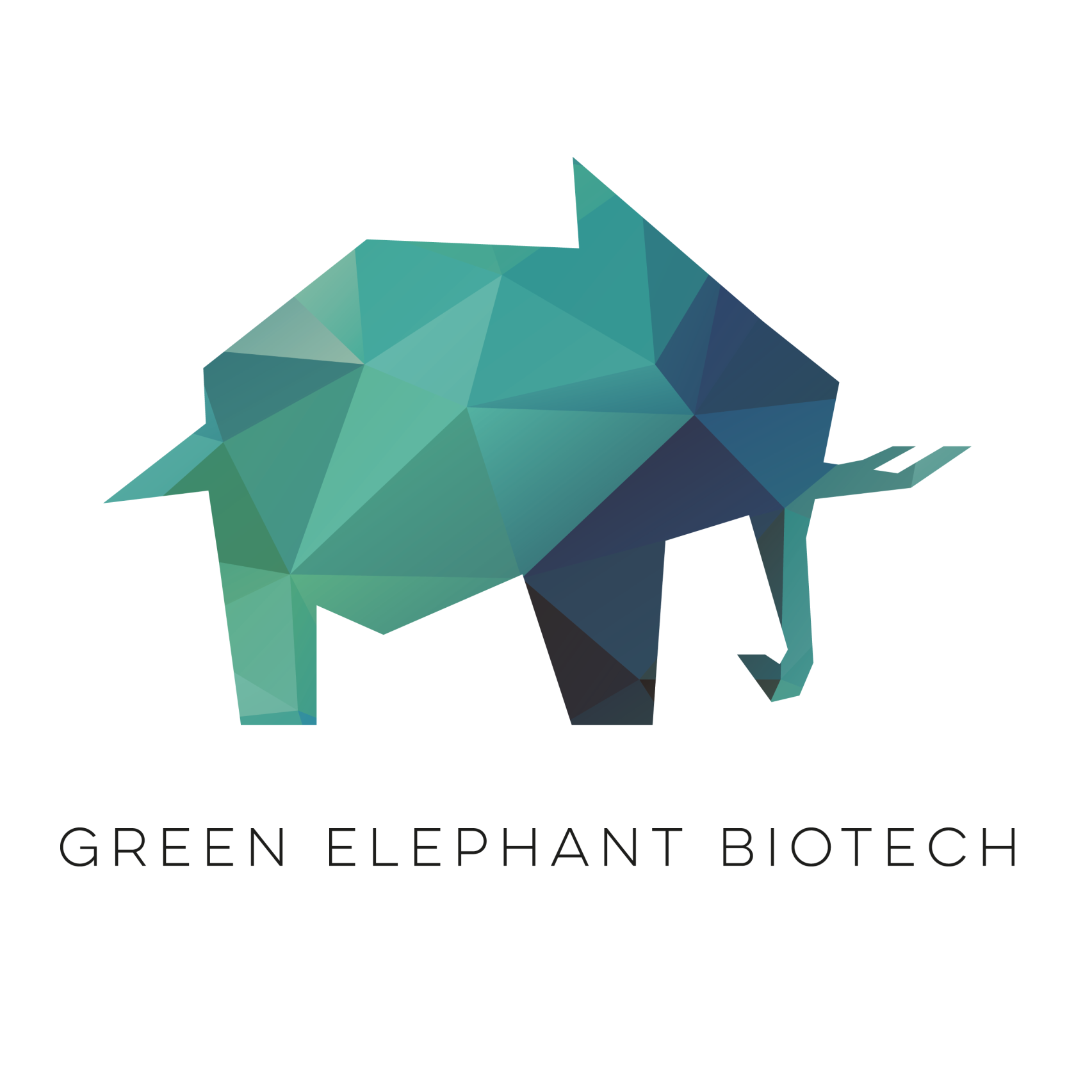 Teamlogo